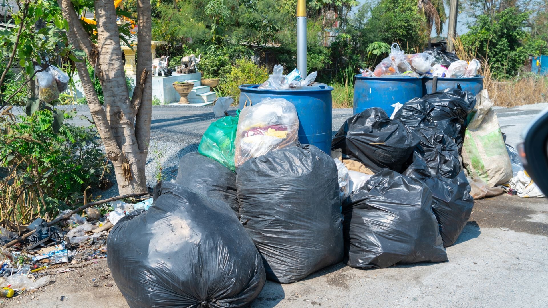 Garbage bags and blue bins piled up on street with trees and plants